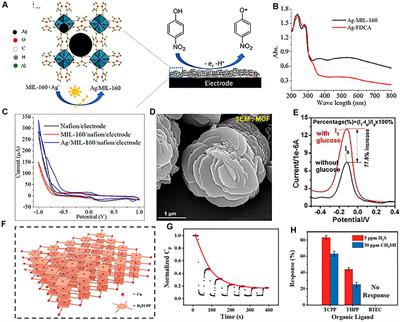 Advanced Metal–Organic Frameworks-Based Catalysts in Electrochemical Sensors